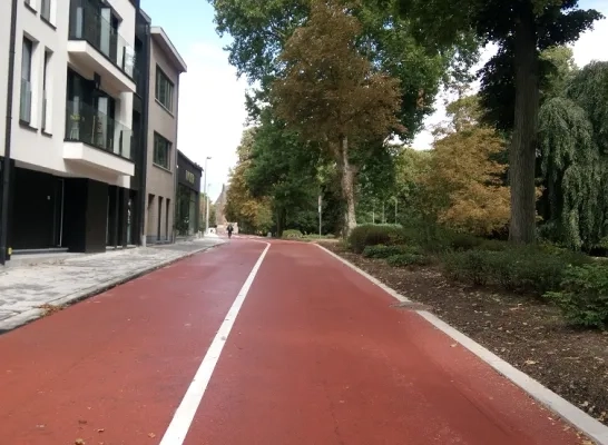 fietsstraat_parklaan_halle.jpg