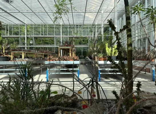 De Groene Ark in Plantentuin Meise