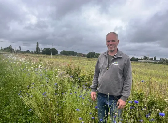 Staveshof in Opwijk is genomineerd voor ‘Meest bijvriendelijke boomgaard’