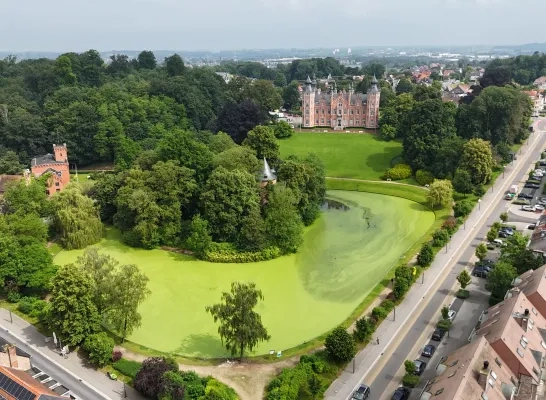 De vijver aan het gemeentehuis van Dilbeek kleurt groen