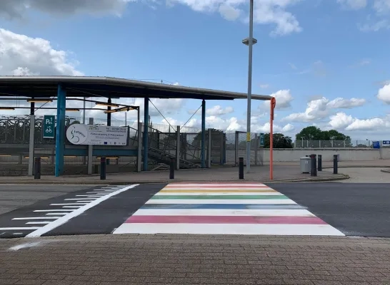 regenboogzebrapad_vandenpeereboomstraat_2.jpeg