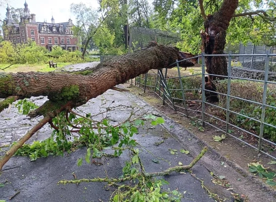 Het noodweer zorgt voor een ravage in het provinciedomein in Huizingen