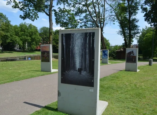 De fototentoonstelling EXPO1800 toont Vilvoorde op een andere manier