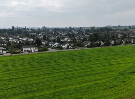 De teelt van hennep boomt in onze regio