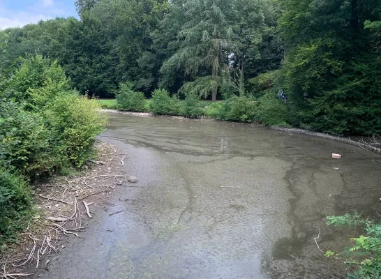 Vijver Prinsenkasteel afgevist 