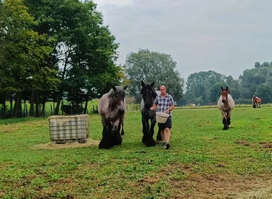 Het Bruggeveld in Dilbeek is één van de stoeterijen die, samen met Toerisme Vlaams-Brabant, een toeristisch programma gaat ontwikkelen.