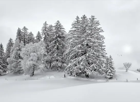 fotoclubdekorrelkristofverbrugghe.jpeg