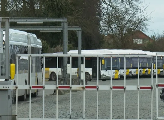 asse_delijn_1.png