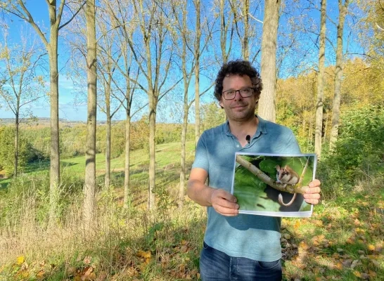 kesterheide_eikelmuis.jpg