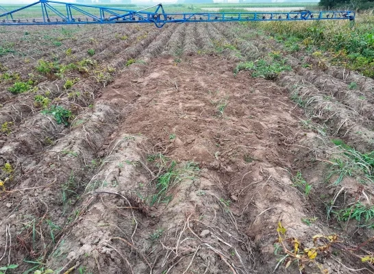 Dieven stelen ruim 250 kilogram aardappelen bij boer Jan