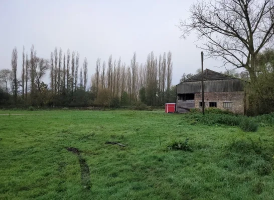 Oude houtzagerij maakt plaats voor uitbreiding natuurgebied in Wemmel