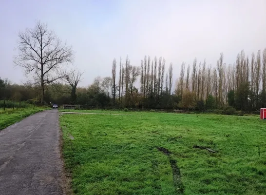 Oude houtzagerij maakt plaats voor uitbreiding natuurgebied in Wemmel