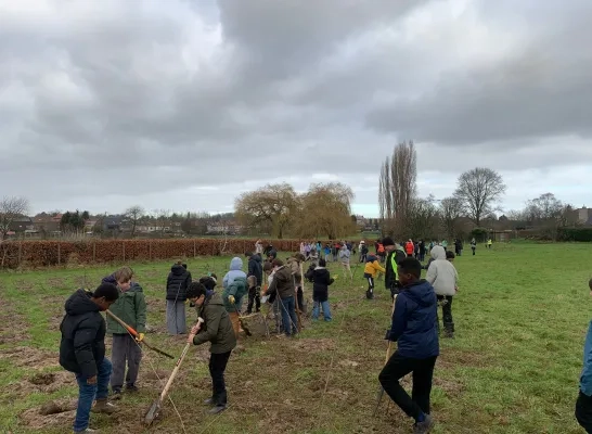 In Koningslo worden meer dan 11.000 bomen geplant