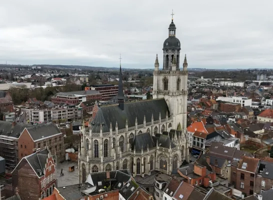 Sint-Martinusbasiliek Halle