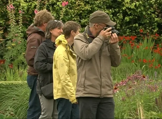 rushes_lievesgarden.consoli.jpg