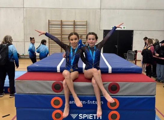 390 gymnasten van 70 clubs op kampioenschap toestelturnen van Leeuwse Dans- en Gymclub 