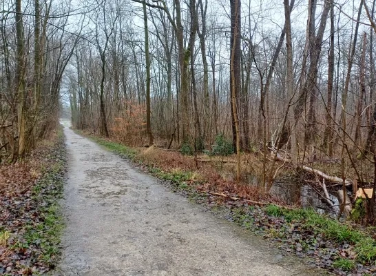 Speelbos Passiewijk Melsbroek