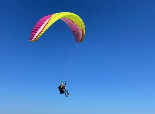 Paraglider