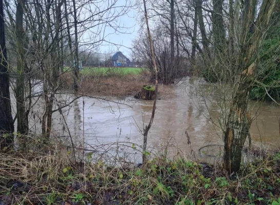 De Bellebeek stond ook eind januari erg hoog