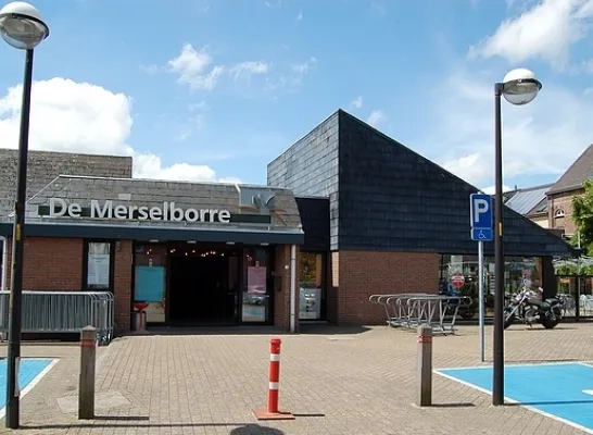 merselborre.jpg