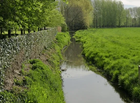 Molenbeekvallei in Londerzeel