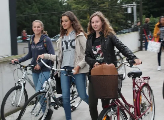 fietsers_college_halle2.jpg