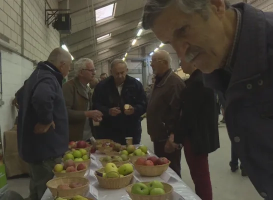 fruitexpo.png