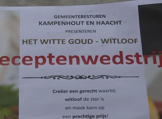 witloofwedstrijd.png