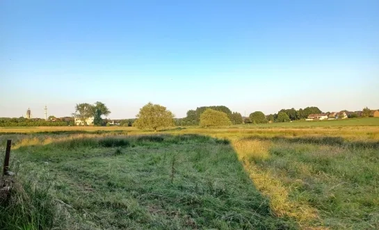 Overstromingsgebied ‘Grote Weide’ moet deel van Halle beschermen tegen wateroverlast