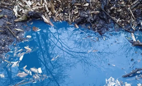 Blauw water langs de Overnellebeek in Asse