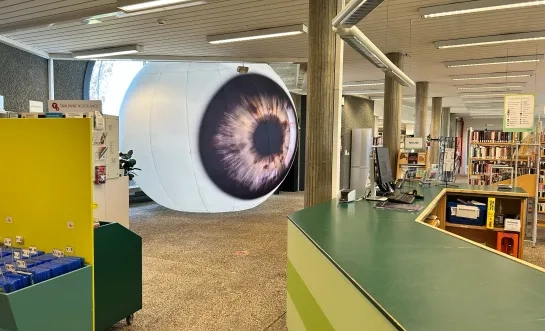 'Annoying eyes' in de Bibliotheek Dilbeek