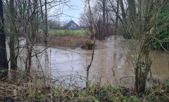 De Bellebeek stond ook eind januari erg hoog