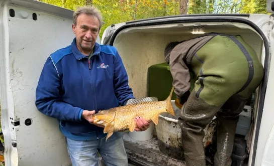 Gevangen vis op de vijver van domein Groenenberg Gevangen vis op de vijver van domein Groenenberg