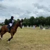 eventing_oetingen.png