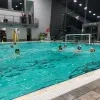 waterpolo_grimbergen.jpg