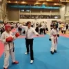 taekwondo_eurovolley.jpg