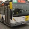 delijn2.jpg