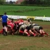 rugby1.jpg