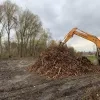 Terrein van oude kolencentrale wordt Vilvoords natuurpark