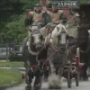 trekpaardenrace.jpg