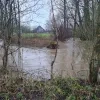 De Bellebeek stond ook eind januari erg hoog