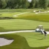 golf_sterrebeek.jpg