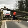 stormdennisschade.jpg